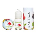 Saltica - Watermelon Ice