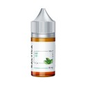 Saltica - Mint Leaf