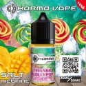 Dharma - Mango Lollypop Ice